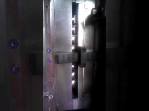 PET Preform Mould Video 1